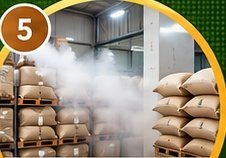 Fumigation Process